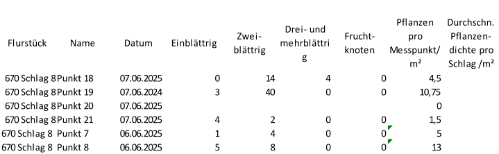 Flurstück Name Datum Einblättrig Zwei-  blättrig Drei- und  mehrblättri g Frucht- knoten Pflanzen  pro  Messpunkt/ m² Durchschn.  Pflanzen- dichte pro  Schlag /m² 670 Schlag 8 Punkt 18 07.06.2025 0 14 4 0 4,5 670 Schlag 8 Punkt 19 07.06.2024 3 40 0 0 10,75 670 Schlag 8 Punkt 20 07.06.2025 0 670 Schlag 8 Punkt 21 07.06.2025 4 2 0 0 1,5 670 Schlag 8 Punkt 7 06.06.2025 1 4 0 0 5 670 Schlag 8 Punkt 8 06.06.2025 5 8 0 0 13