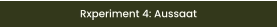 Rxperiment 4: Aussaat