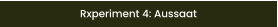 Rxperiment 4: Aussaat