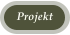Projekt
