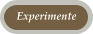 Experimente