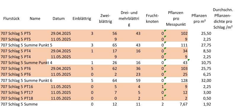 Flurstück Name Datum Einblättrig Zwei-  blättrig Drei- und  mehrblättri g Frucht- knoten Pflanzen  pro  Messpunkt Pflanzen  pro m² Durchschn.  Pflanzen- dichte pro  Schlag /m² 707 Schlag 5 PT5 29.04.2025 3 56 43 0 102 25,50 707 Schlag 5 PT5 11.05.2025 9 0 9 2,25 707 Schlag 5 Summe Punkt 5 3 65 43 0 111 27,75 707 Schlag 5 PT4 29.04.2025 1 17 16 0 34 8,50 707 Schlag 5 PT4 11.05.2025 9 0 9 2,25 707 Schlag 5 Summe Punkt 4 1 26 16 0 43 10,75 707 Schlag 5 PT6 29.04.2025 5 62 36 0 103 25,75 707 Schlag 5 PT6 11.05.2025 0 2 23 0 25 6,25 707 Schlag 5 Summe Punkt 6 5 64 59 0 128 32,00 707 Schlag 5 PT16 11.05.2025 0 5 4 1 9 2,25 707 Schlag 5 PT17 11.05.2025 0 7 5 0 12 3,00 707 Schlag 5 PT18 11.05.2025 0 0 2 1 2 0,50 707 Schlag 5 Summe 0 12 11 2 7,67 1,92