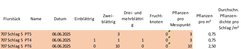Flurstück Name Datum Einblättrig Zwei-  blättrig Drei- und  mehrblättri g Frucht- knoten Pflanzen  pro  Messpunkt Pflanzen  pro m² Durchschn.  Pflanzen- dichte pro  Schlag /m² 707 Schlag 5 PT5 06.06.2025 3 0 3 0,75 707 Schlag 5 PT4 06.06.2025 1 1 1 0 3 0,75 707 Schlag 5 PT6 06.06.2025 0 10 0 0 10 2,50