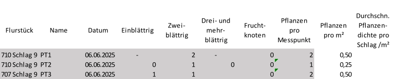 Flurstück Name Datum Einblättrig Zwei-  blättrig Drei- und  mehr- blättrig Frucht- knoten Pflanzen  pro  Messpunkt Pflanzen  pro m² Durchschn.  Pflanzen- dichte pro  Schlag /m² 710 Schlag 9 PT1 06.06.2025 - 2 - 0 2 0,50 710 Schlag 9 PT2 06.06.2025 0 1 0 0 1 0,25 707 Schlag 9 PT3 06.06.2025 1 1 0 2 0,50