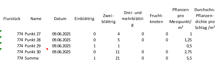 Flurstück Name Datum Einblättrig Zwei-  blättrig Drei- und  mehrblättri g Frucht- knoten Pflanzen  pro  Messpunkt/ m² Durchschn.  Pflanzen- dichte pro  Schlag /m² 774 Punkt 27 09.06.2025 0 4 0 0 1 774 Punkt 28 09.06.2025 0 5 0 0 1,25 774 Punkt 29 09.06.2025 1 1 0,5 774 Punkt 30 09.06.2025 0 11 0 0 2,75 774 Summe 1 21 0 0 5,5