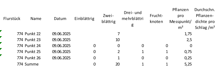 Flurstück Name Datum Einblättrig Zwei-  blättrig Drei- und  mehrblättri g Frucht- knoten Pflanzen  pro  Messpunkt/ m² Durchschn.  Pflanzen- dichte pro  Schlag /m² 774 Punkt 22 09.06.2025 7 1,75 774 Punkt 23 09.06.2025 10 2,5 774 Punkt 24 09.06.2025 0 0 0 0 0 774 Punkt 25 09.06.2025 0 2 1 1 0,75 774 Punkt 26 09.06.2025 0 1 0 0 0,25 774 Summe 0 20 1 1 5,25