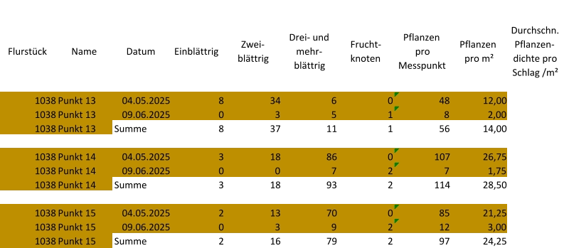 Flurstück Name Datum Einblättrig Zwei-  blättrig Drei- und  mehr- blättrig Frucht- knoten Pflanzen  pro  Messpunkt Pflanzen  pro m² Durchschn.  Pflanzen- dichte pro  Schlag /m² 1038 Punkt 13 04.05.2025 8 34 6 0 48 12,00 1038 Punkt 13 09.06.2025 0 3 5 1 8 2,00 1038 Punkt 13 Summe 8 37 11 1 56 14,00 1038 Punkt 14 04.05.2025 3 18 86 0 107 26,75 1038 Punkt 14 09.06.2025 0 0 7 2 7 1,75 1038 Punkt 14 Summe 3 18 93 2 114 28,50 1038 Punkt 15 04.05.2025 2 13 70 0 85 21,25 1038 Punkt 15 09.06.2025 0 3 9 2 12 3,00 1038 Punkt 15 Summe 2 16 79 2 97 24,25