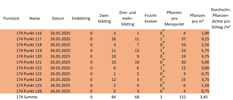 Flurstück Name Datum Einblättrig Zwei-  blättrig Drei- und  mehr- blättrig Frucht- knoten Pflanzen  pro  Messpunkt Pflanzen  pro m² Durchschn.  Pflanzen- dichte pro  Schlag /m² 174 Punkt 116 26.05.2025 0 3 1 0 4 1,00 174 Punkt 117 26.05.2025 0 26 11 1 37 9,25 174 Punkt 118 26.05.2025 0 3 7 0 10 2,50 174 Punkt 119 26.05.2025 0 11 12 1 23 5,75 174 Punkt 120 26.05.2025 0 10 9 0 19 4,75 174 Punkt 121 26.05.2025 0 10 10 0 20 5,00 174 Punkt 122 26.05.2025 0 6 6 1 12 3,00 174 Punkt 123 26.05.2025 0 1 2 0 3 0,75 174 Punkt 124 26.05.2025 0 12 3 0 15 3,75 174 Punkt 125 26.05.2025 0 2 4 0 6 1,50 174 Punkt 126 26.05.2025 0 0 3 0 3 0,75 174 Summe 0 84 68 3 152 3,45