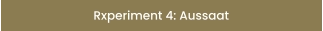 Rxperiment 4: Aussaat