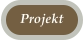 Projekt