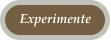 Experimente